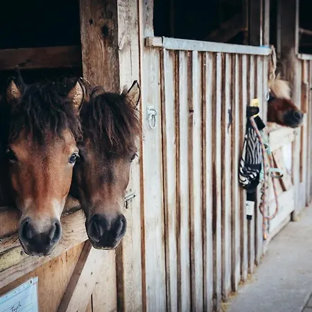 Hotel & Bachmair Weissach, Luxury Family Rottach-Egern