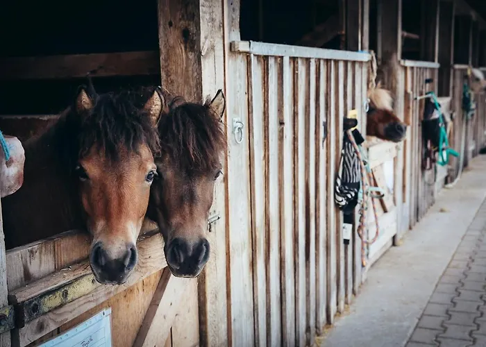 ホテル & Bachmair Weissach, Luxury Family Rotta